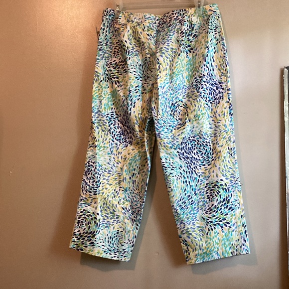 Talbots Capris zip up side size 12 petite. New with tags. - Picture 3 of 8